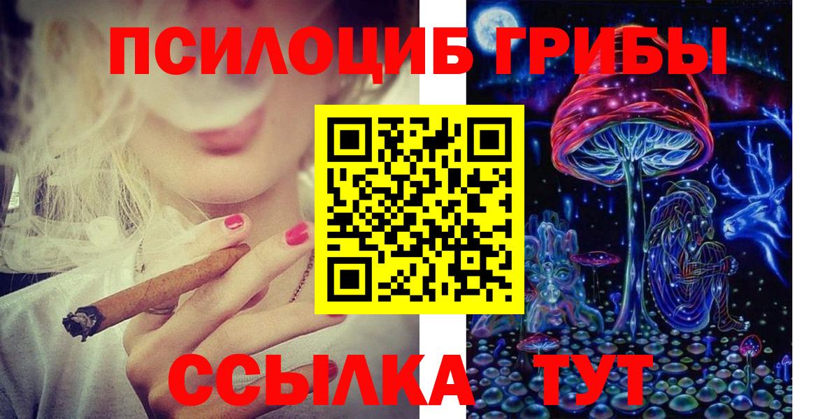 Галлюциногенные грибы прущие грибы  Галлюциногенные грибы Psilocybine cubensis  Орёл  Вход с VPN 