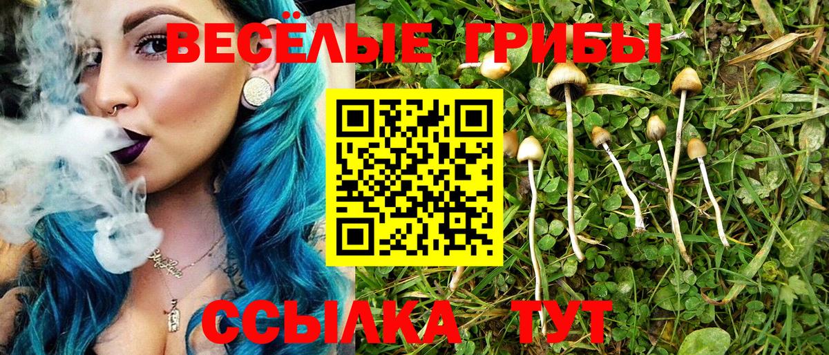Псилоцибиновые грибы мицелий Орёл